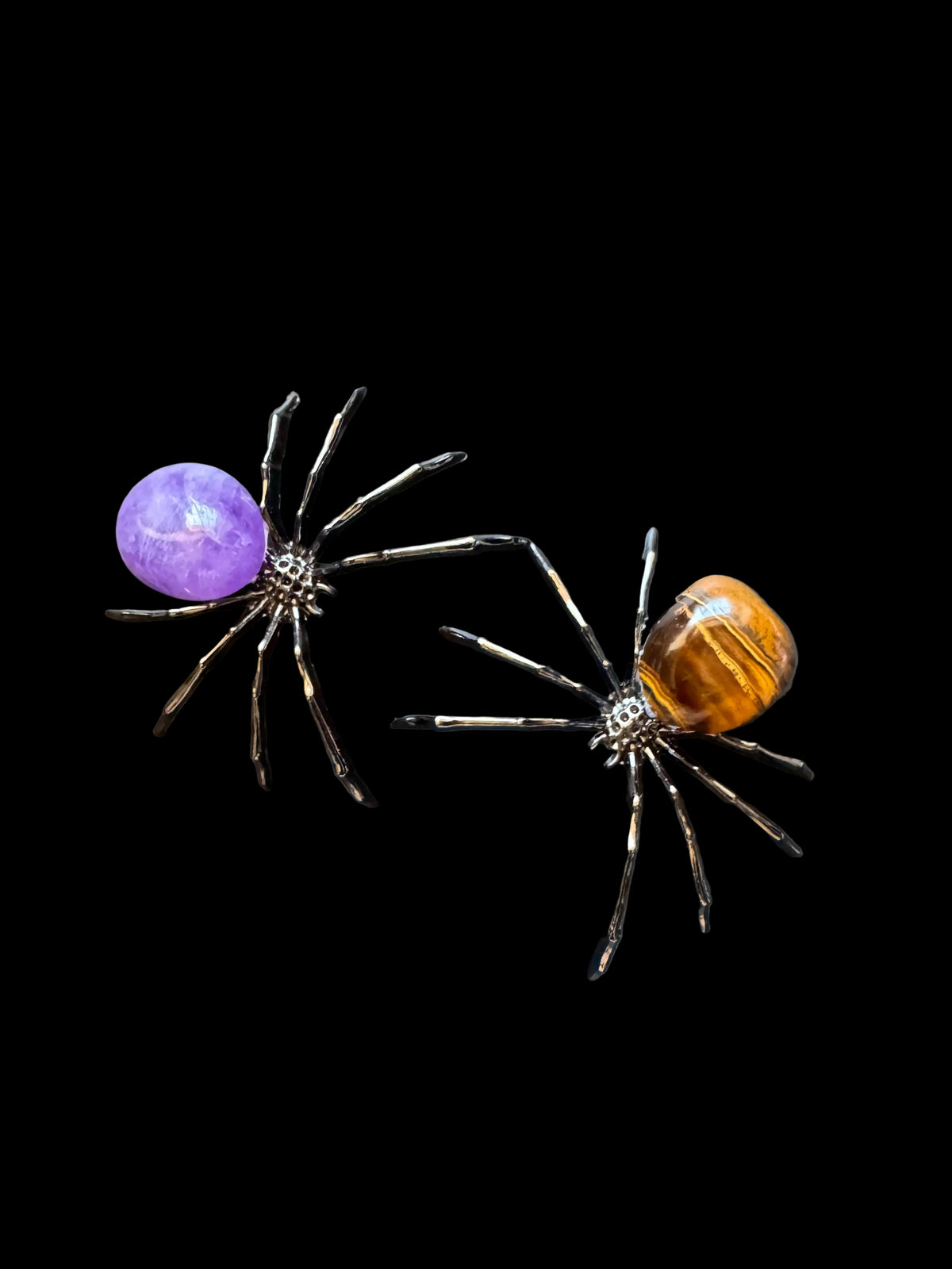 Spiders