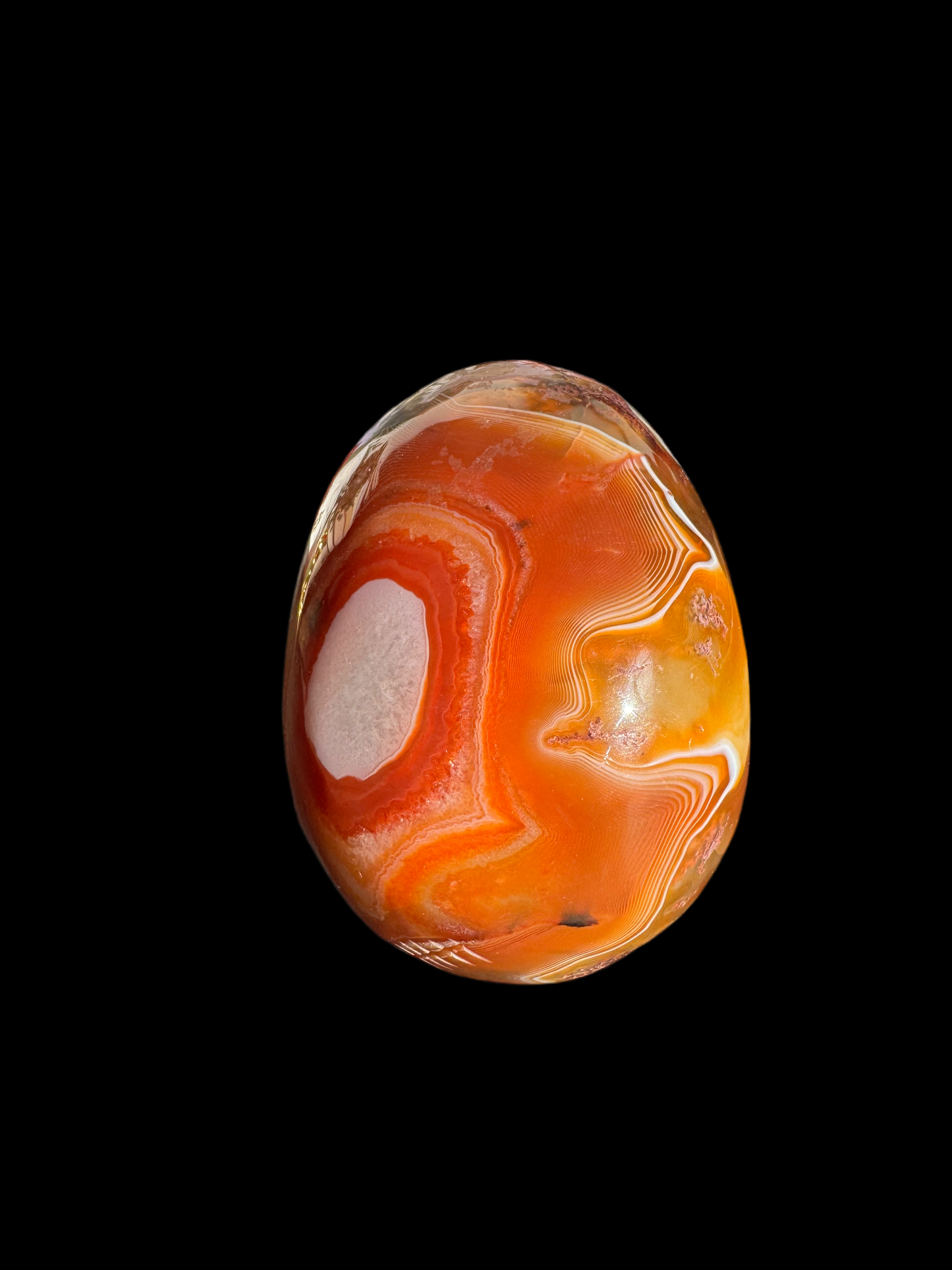 Red Lace Agate Skull