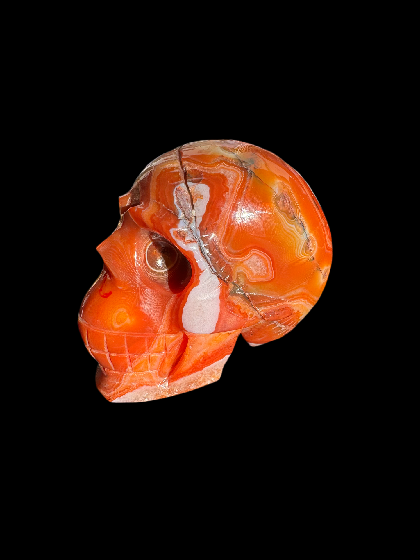 Red Lace Agate Skull