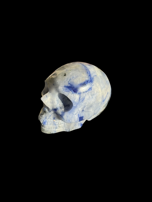Sodalite Skull