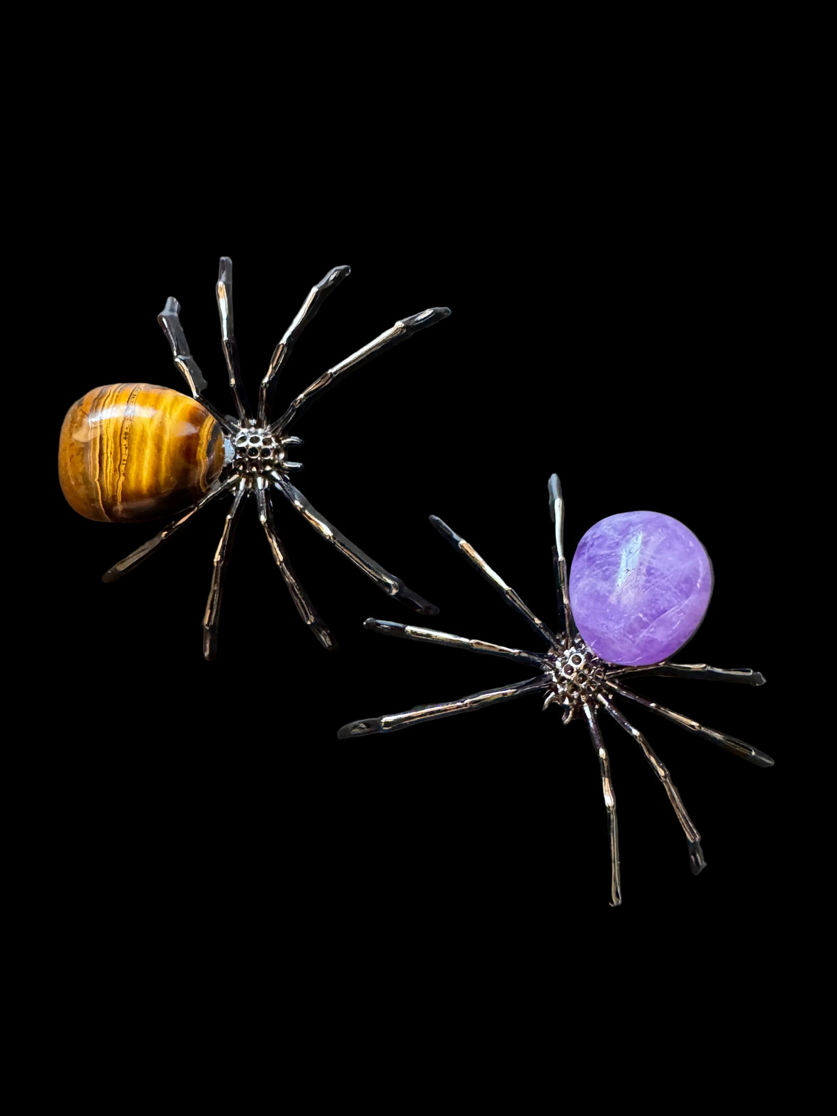 Spiders